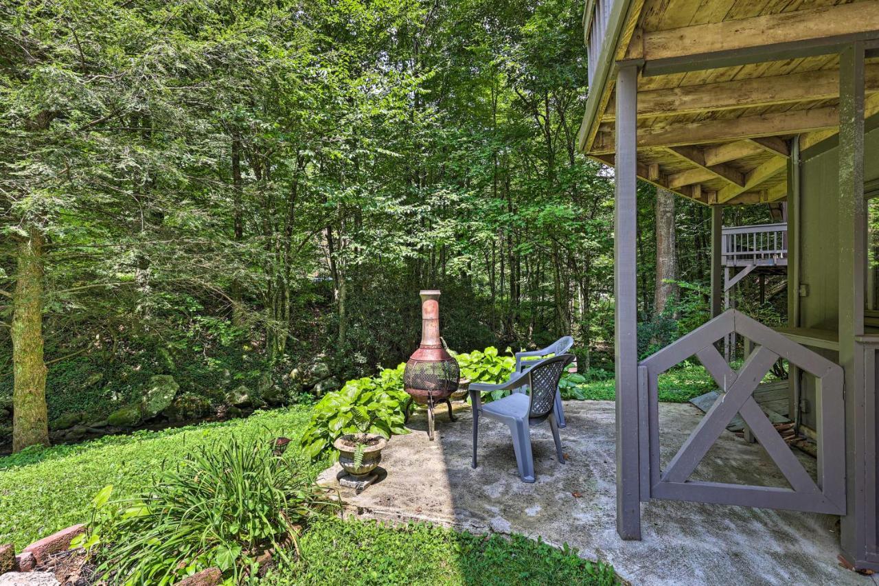 Creekside Roan Mountain Cabin Walk To Trails エクステリア 写真