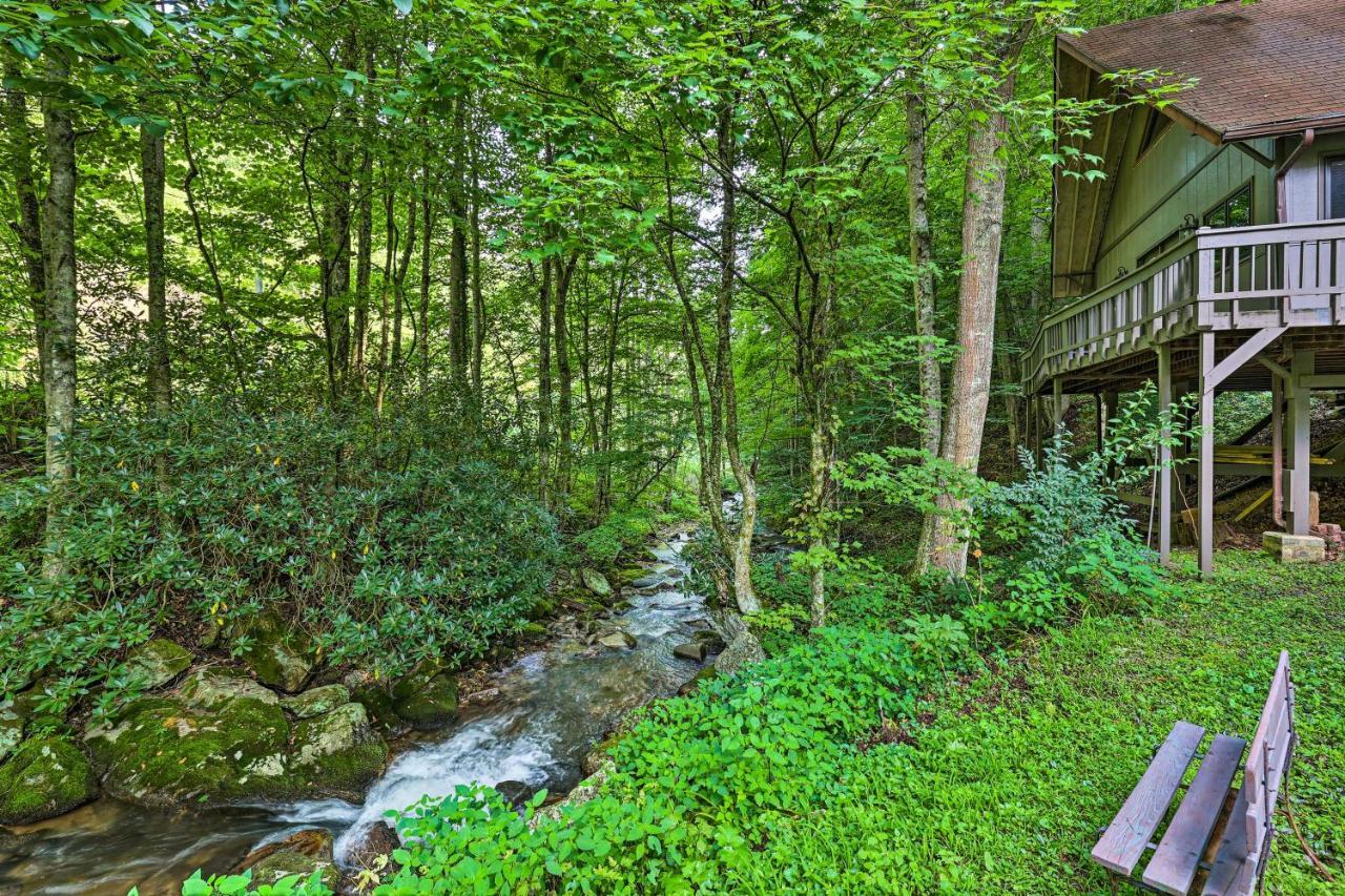 Creekside Roan Mountain Cabin Walk To Trails エクステリア 写真