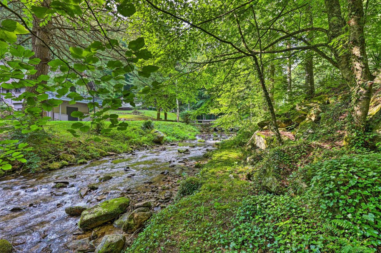 Creekside Roan Mountain Cabin Walk To Trails エクステリア 写真